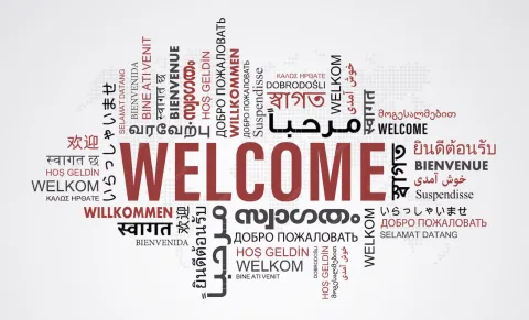 ملتقى الترجمة