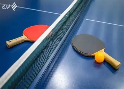 كرة الطاولة 
