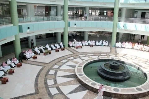 295.jpg