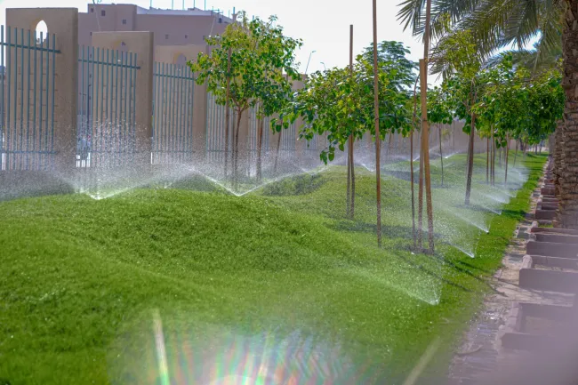 الابتكار في الطاقة المتجددة