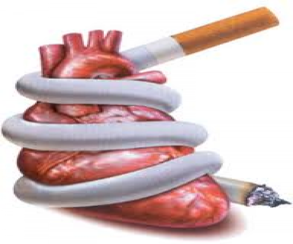 الصيدلة (بنات) تحذر من أضرار التدخين في محاضرة بثانوية 127بالرياض